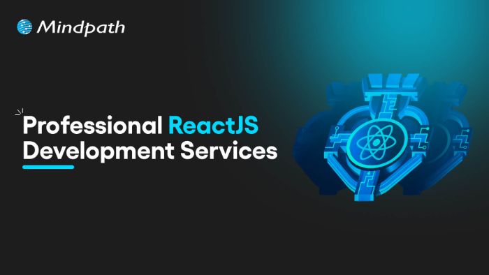 ReactJS Development Services