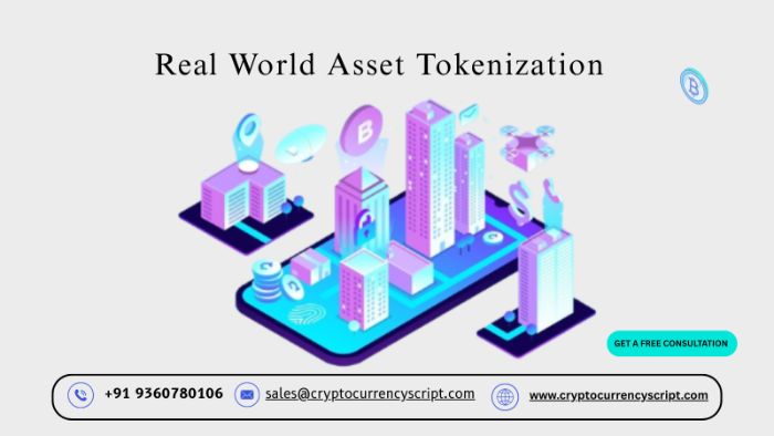 Real World Asset Tokenization
