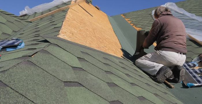 Bronx Roofer