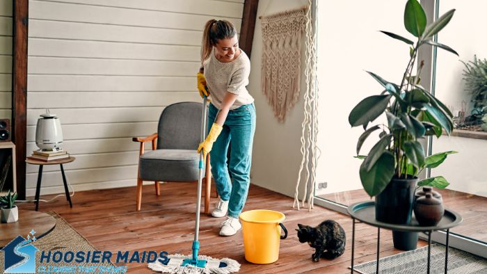 Cleaning Services Fort Wayne