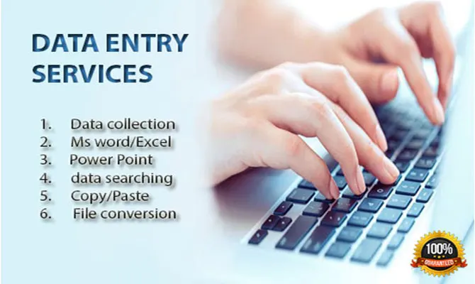 DOMAIN DATA ENTRY WORK