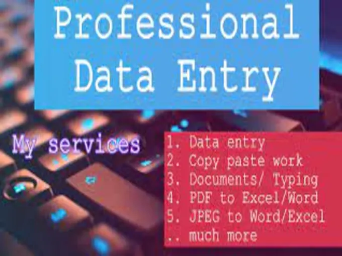 DOMAIN DATA ENTRY WORK DOMAIN DATA ENTRY WORK