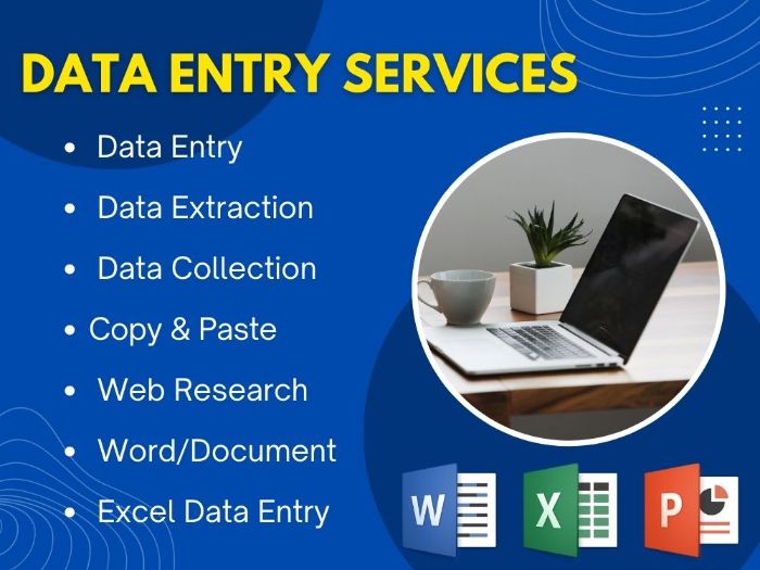 DOMAIN DATA ENTRY WORK DOMAIN DATA ENTRY WORK