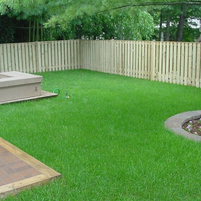 Greener Alternative Inc