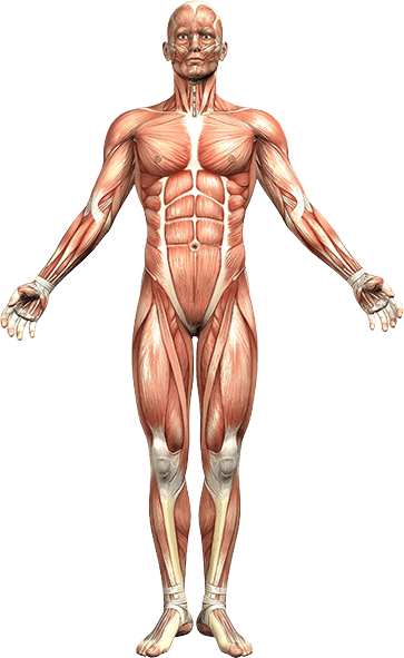 Medical Augmented Reality Tools for Education and Practice