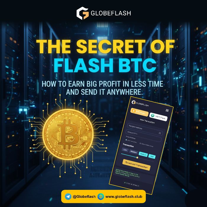 USDT Flash software program: The ultimate brief start guide globeflash