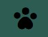 Boston Bella LLC
