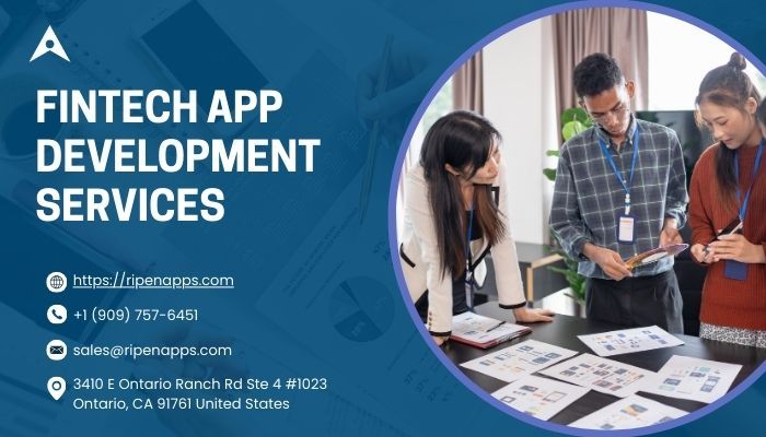Custom Fintech App Development Services RipenApps