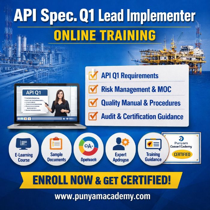 Online API Q1 Lead Implementer Certification Training