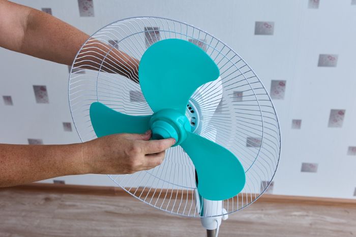 Fan Testing Services