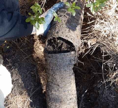 Gutter Downspout Extension
