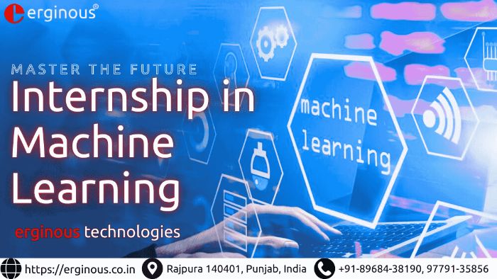 Internship in Machine Learning Erginous Technologies