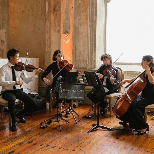 Professional String Quartet Hire String Musicians Australia