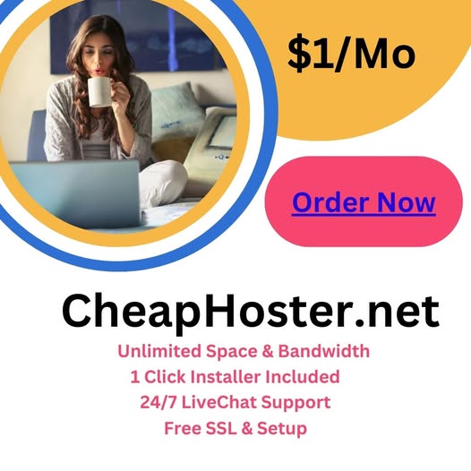 1 Web Hosting Provider