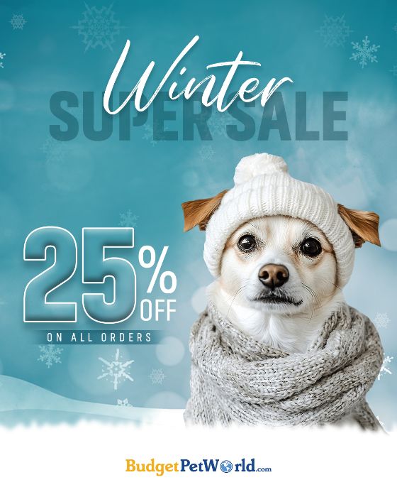 BudgetPetWorld: Top Pet Products Up to 40 OFF!