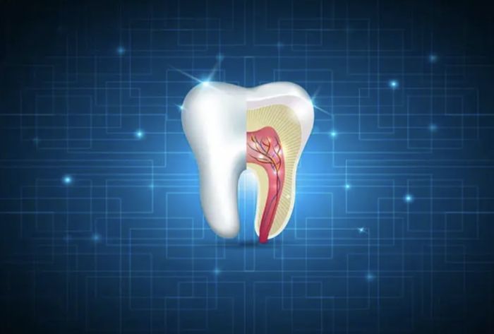 Tacoma Sinho Dream Dental Clinic