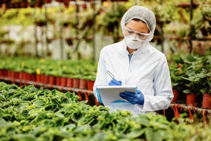 Food Traceability Program for Safer Supply Chains