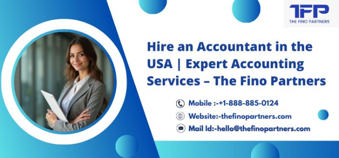 Hire an Accountant in the USA Expert Accounting Services The Fino Partners