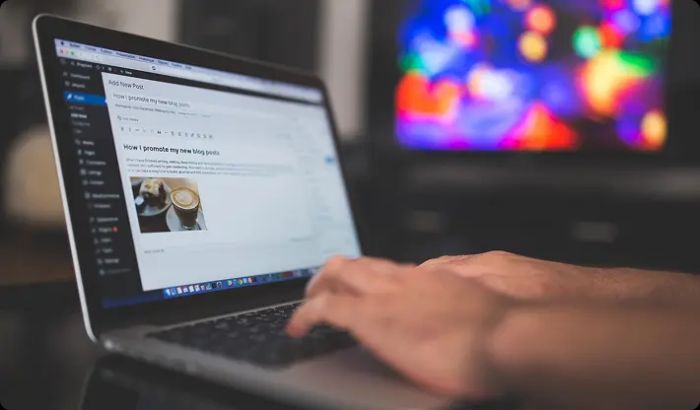 Hire Expert WordPress Developers