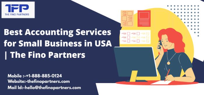 Best Accounting Services for Small Business in USA The Fino Partners