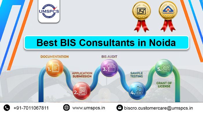 BIS Consultancy Services