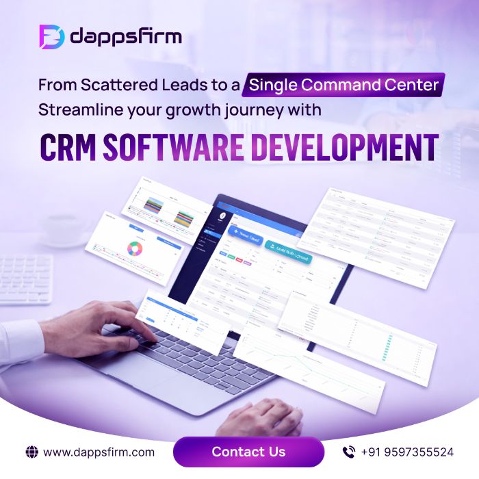 CRM Software Script Cost for Businesses Needing OnTime Deployment