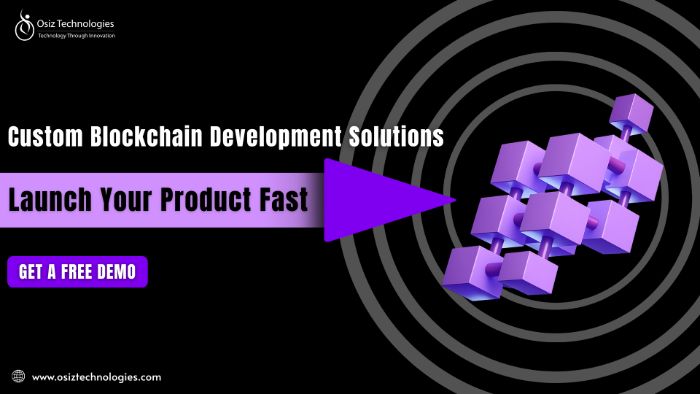Custom Blockchain Development Launch Your Product Fast Custom Blockchain Development Launch Your Product Fast