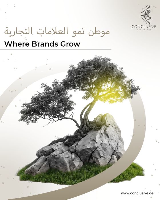 https:conclusive.aebusinessstrategyplanning
