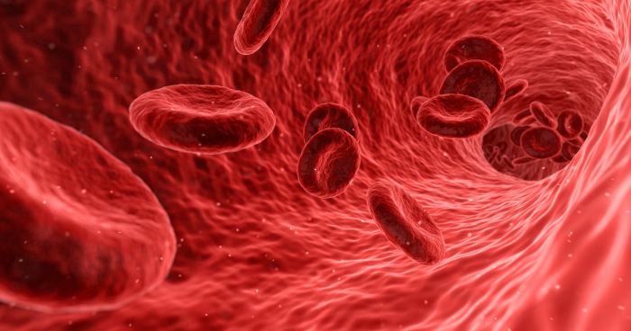 Living with Sickle Cell Disease Help Change Young Lives