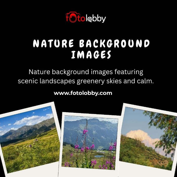 Nature Background Images