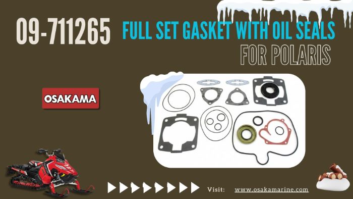 Polaris 700 Snowmobile Full Gasket Set w Oil Seals OEM 09711265 Osaka Marine