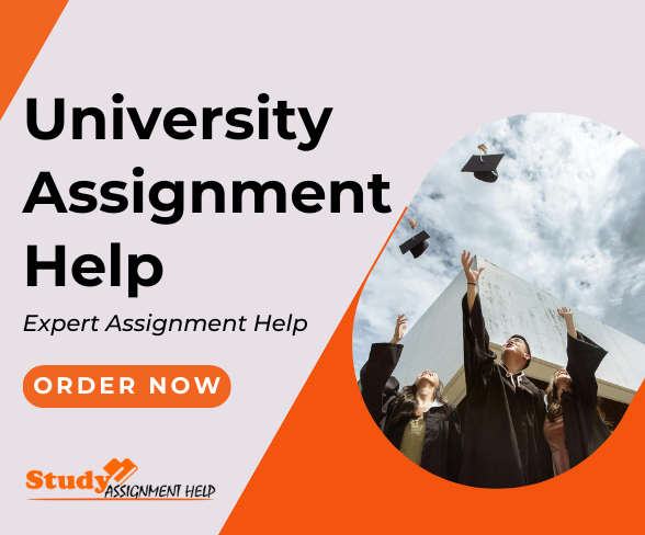 Studyassignmenthelp.co.uk experts in University Assignment Help