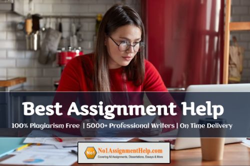 Best Assignment Help from No1AssignmentHelp.Com