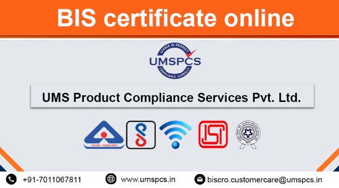 BIS CRS Registration
