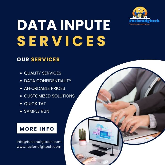Data Input Services Company
