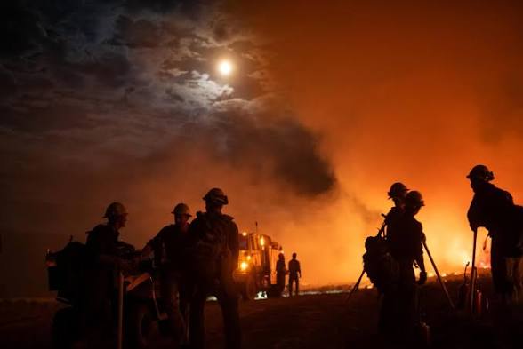 Effective disaster relief organizations