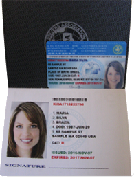 International Driver Permit