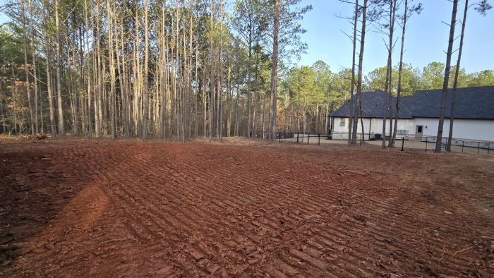 Land clearing services