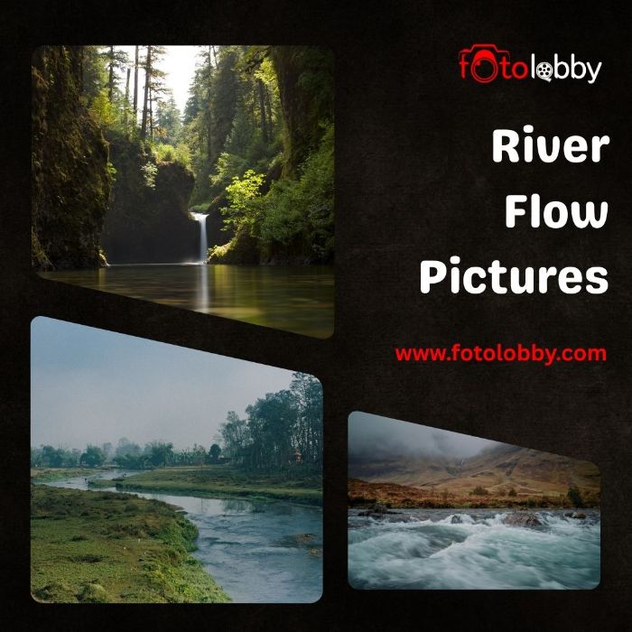 River Flow Pictures