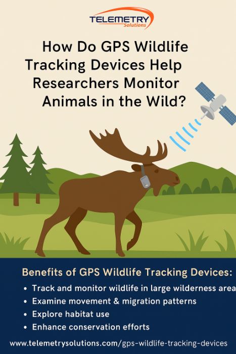 What Are GPS Wildlife Tracking Devices and How Can They Transform Your Research?