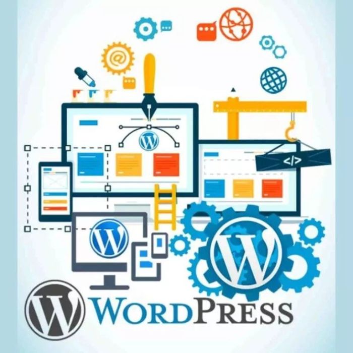 Wordpress Web Development Services in India Web Panel Solutions