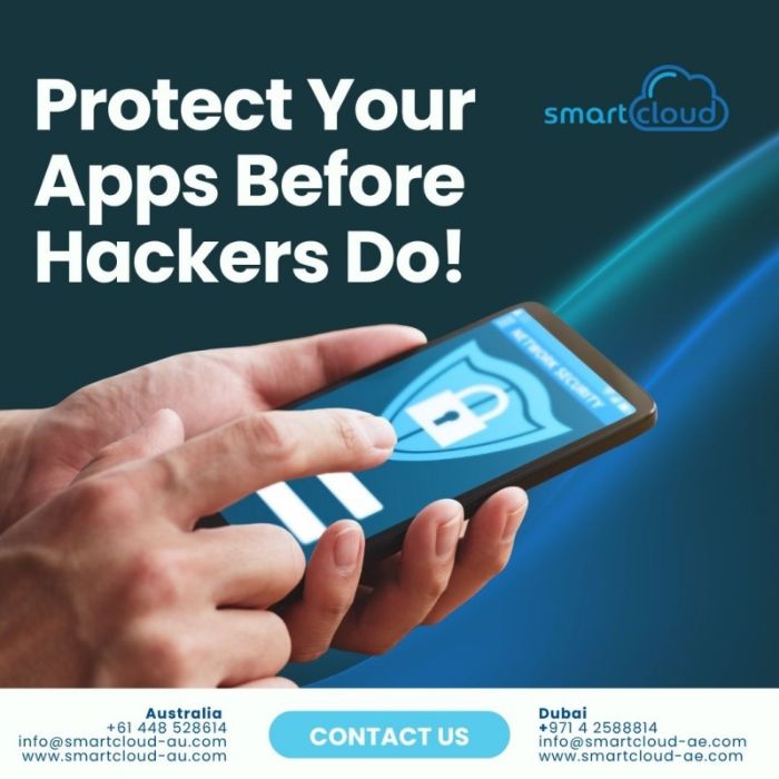 Application Security Auditing Software Vulnerability Assessment