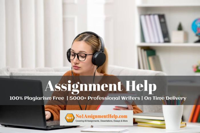 Cheap Assignment Help Services At No1AssignmentHelp.Com