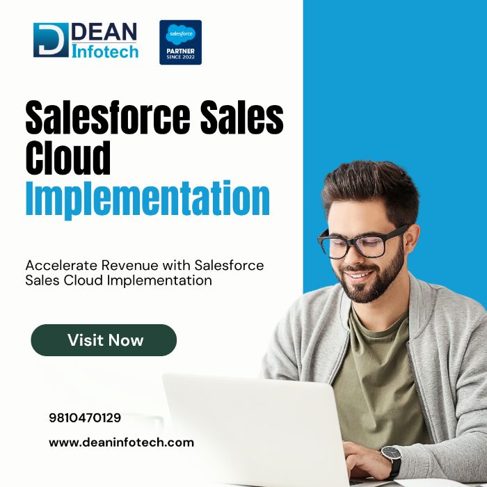 Salesforce Sales Cloud Implementation and Consulting Services