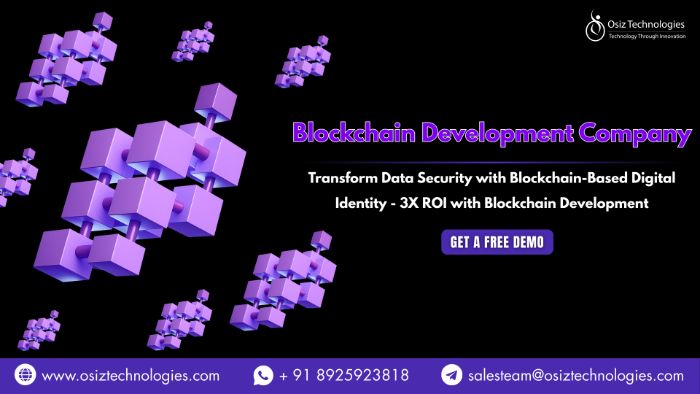 Transform Data Security with BlockchainBased Digital Identity 3X ROI with Blockchain Development