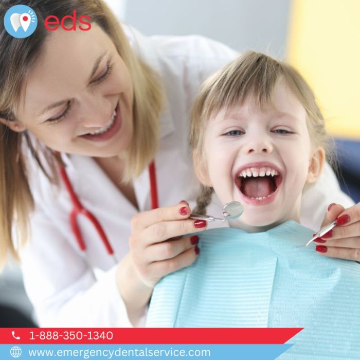24 Hour Dental Emergency in Chicago, IL Emergency Dental Service