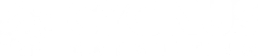 Business Intelligence, Data Digital Transformation Consulting Services