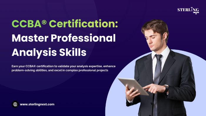 CCBA Certification: Master Professional Analysis Skills