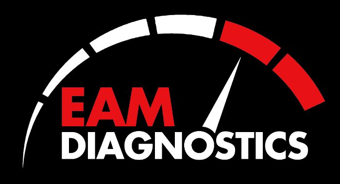 EAM Key Lock DIAGNOSTICS