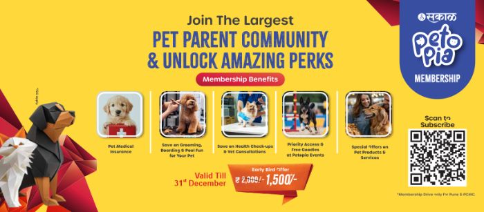 Interactive Pet Event Pune Petopia Gala